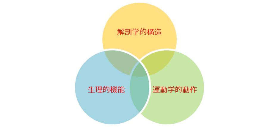 スポーツ後の身体のメンテナンス